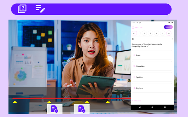 Better learner engagement experienced through Online Interactive Quiz Maker