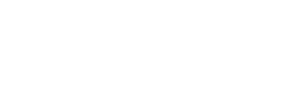 Representing Plex Bit Info Systems